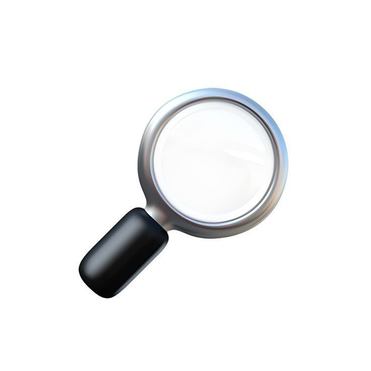 Magnifying glass icon, representing verification checks